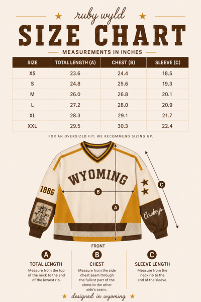 Color Block Cowboy Jersey - RUBY WYLD