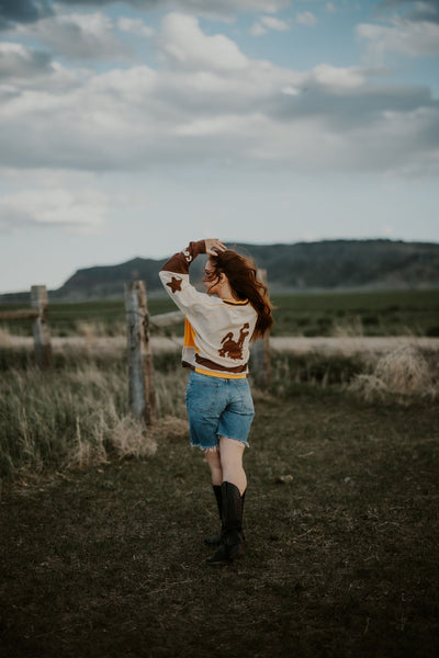Color Block Cowboy Jersey - RUBY WYLD